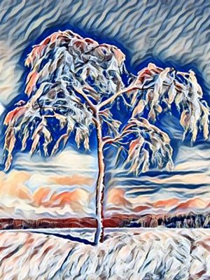 Verschneiter Baum in Schneelandschaft