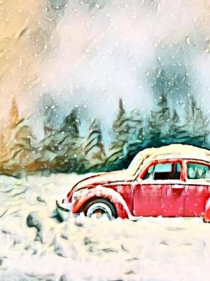 Zugeschneiter Käfer in Winterlandschaft (Effektbild)